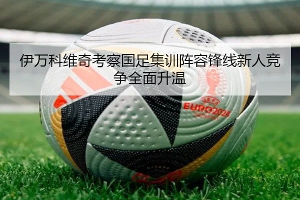 伊万科维奇考察国足集训阵容锋线新人竞争全面升温